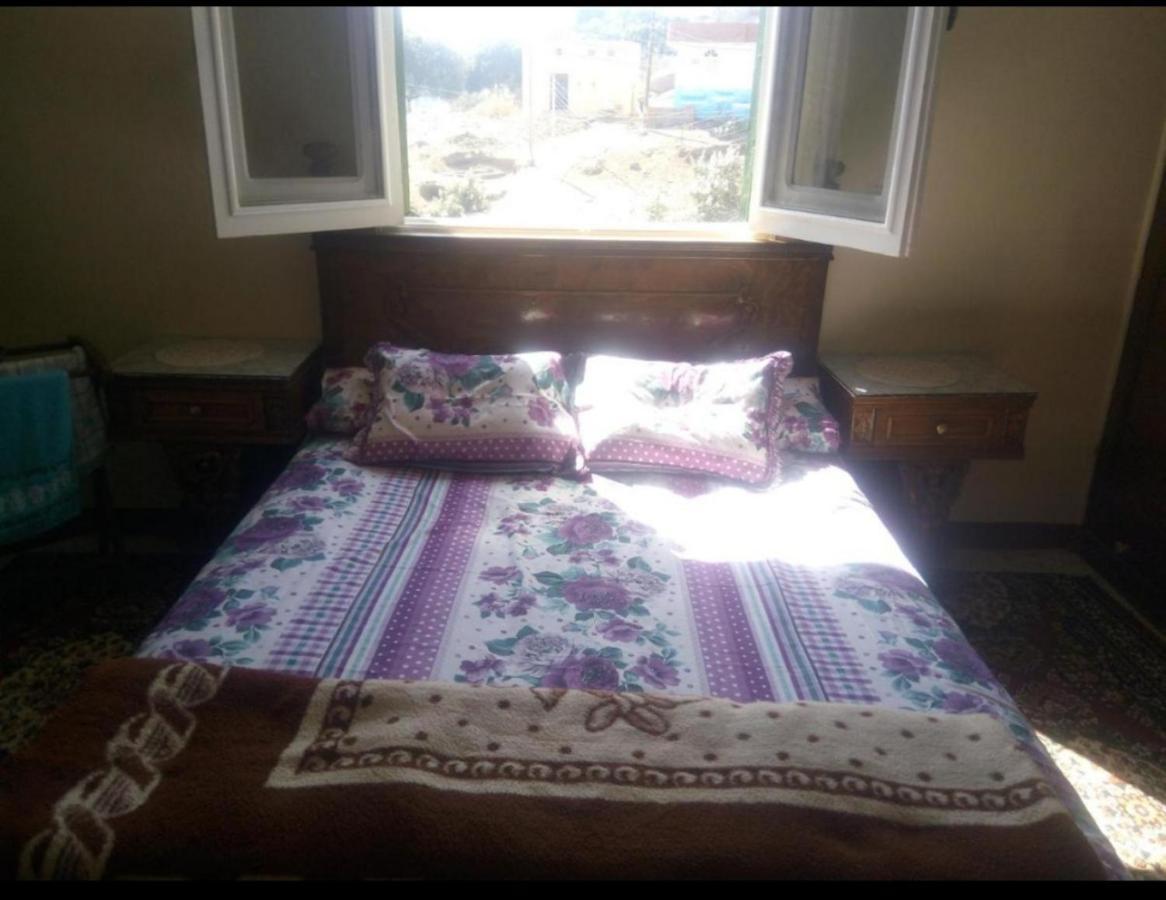 Mastonkel Hotel Asszuán Kültér fotó